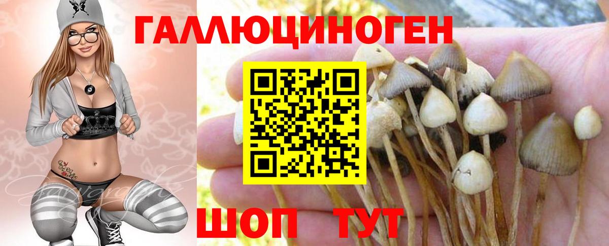 Псилоцибиновые грибы прущие грибы Магадан