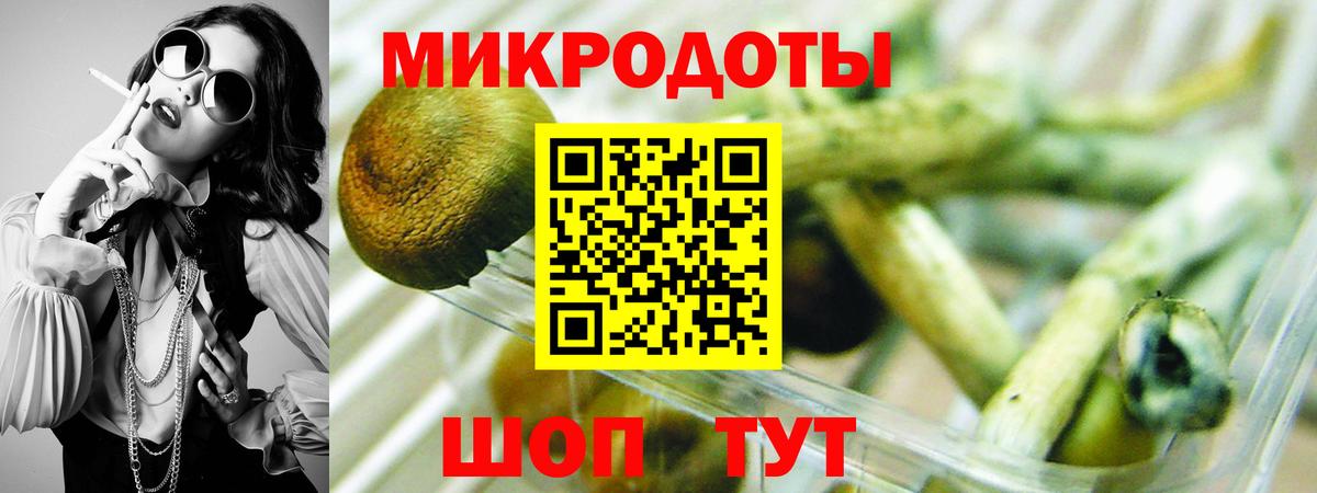 Псилоцибиновые грибы Magic Shrooms  Галлюциногенные грибы Psilocybe  Вход с VPN  магазин продажи   Магадан 